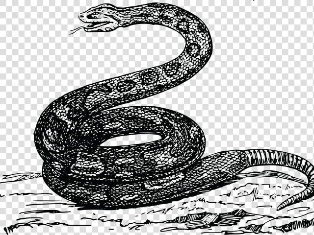 Transparent Clipart Of Snake   Snek Meme Tread On Me  HD Png DownloadTransparent PNG