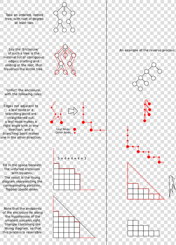 Shorttreeproof   Integer Partition Lists  HD Png DownloadTransparent PNG