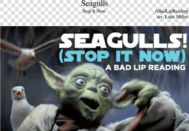 Seagulls Stop It Now Lyrics  HD Png DownloadTransparent PNG