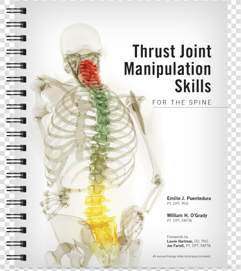 Thrust Joint Manipulation Skills For The Spine   Thrust Joint Manipulation  HD Png DownloadTransparent PNG