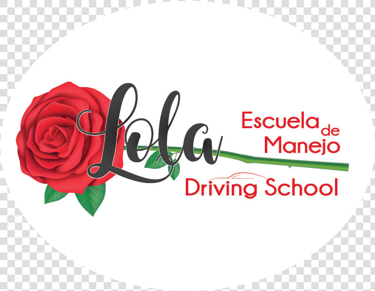 Home   Lola Escuela De Manejo  HD Png DownloadTransparent PNG