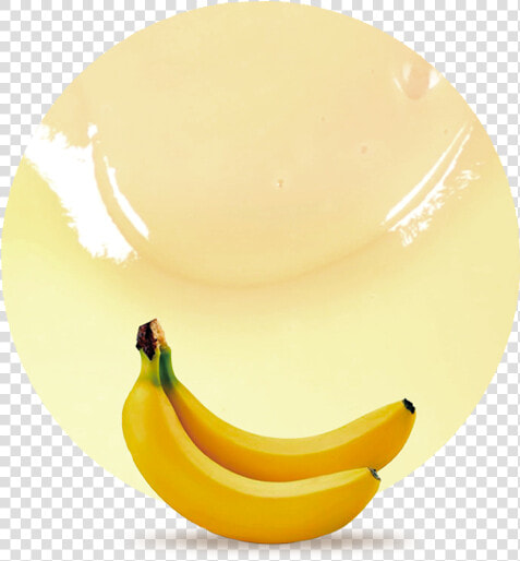 Saba Banana  HD Png DownloadTransparent PNG