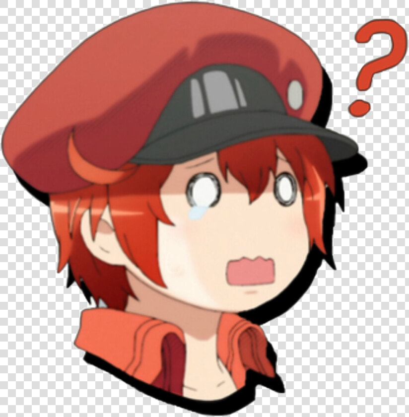 Transparent Red Blood Cell Clipart   Red Blood Cell Cells At Work Png  Png DownloadTransparent PNG