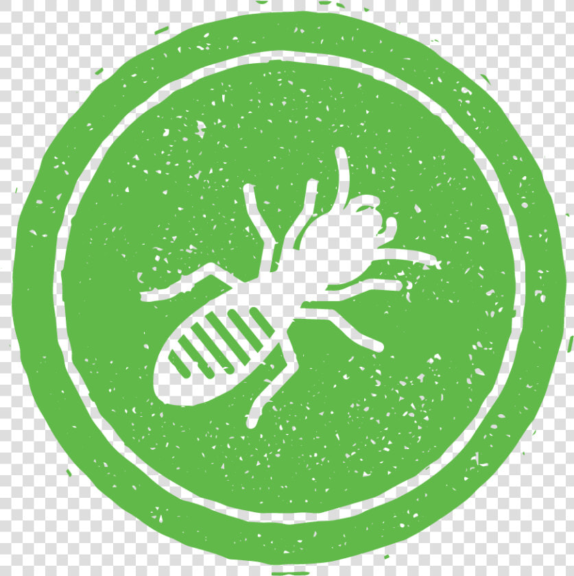 Termite Control And Pest Control In Nashville  Tn    Illustration  HD Png DownloadTransparent PNG