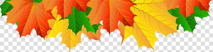 Clip Art Fall Tree Border Picture   Clip Art Autumn Leaves Border  HD Png DownloadTransparent PNG
