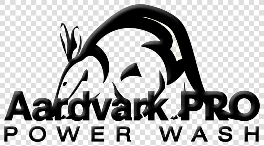 Aardvark Png  Transparent PngTransparent PNG