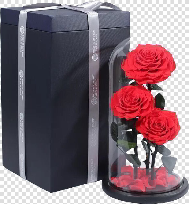 Wholesale Wedding Decoration Preserved Real Roses Flower   Garden Roses  HD Png DownloadTransparent PNG