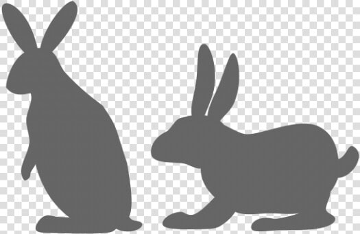 Rabbit Image Vector Example Image   Hare  HD Png DownloadTransparent PNG