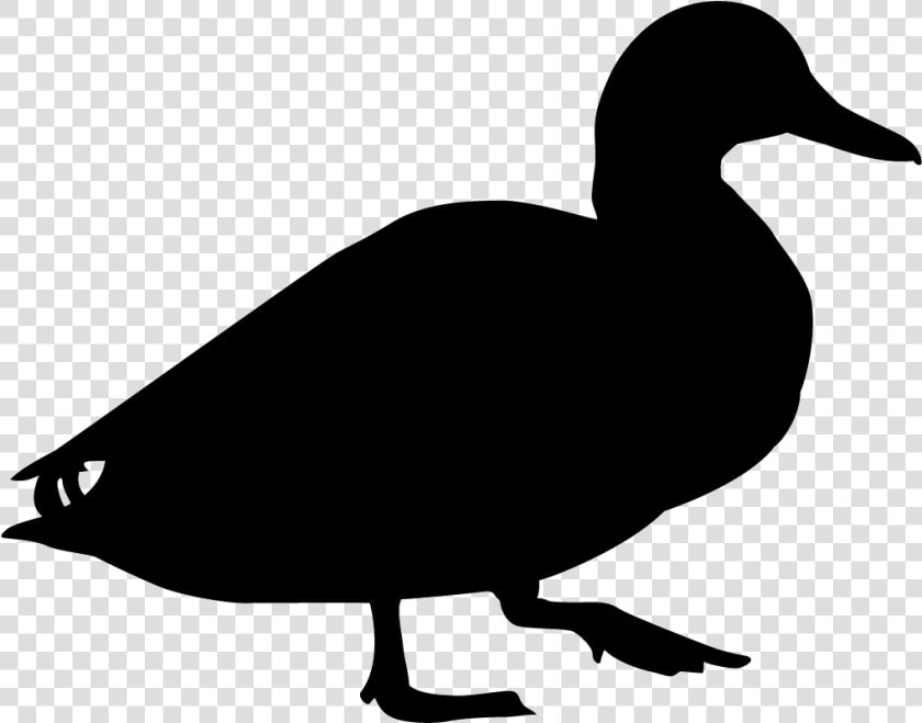 Blue Winged Teal Silhouette  HD Png DownloadTransparent PNG