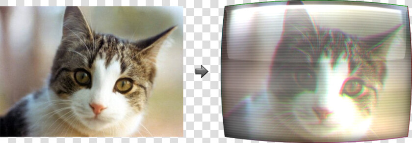 A Crt Cat   Robot Cat Pet  HD Png DownloadTransparent PNG