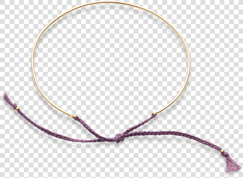 Aster Png   Png Download  Transparent PngTransparent PNG