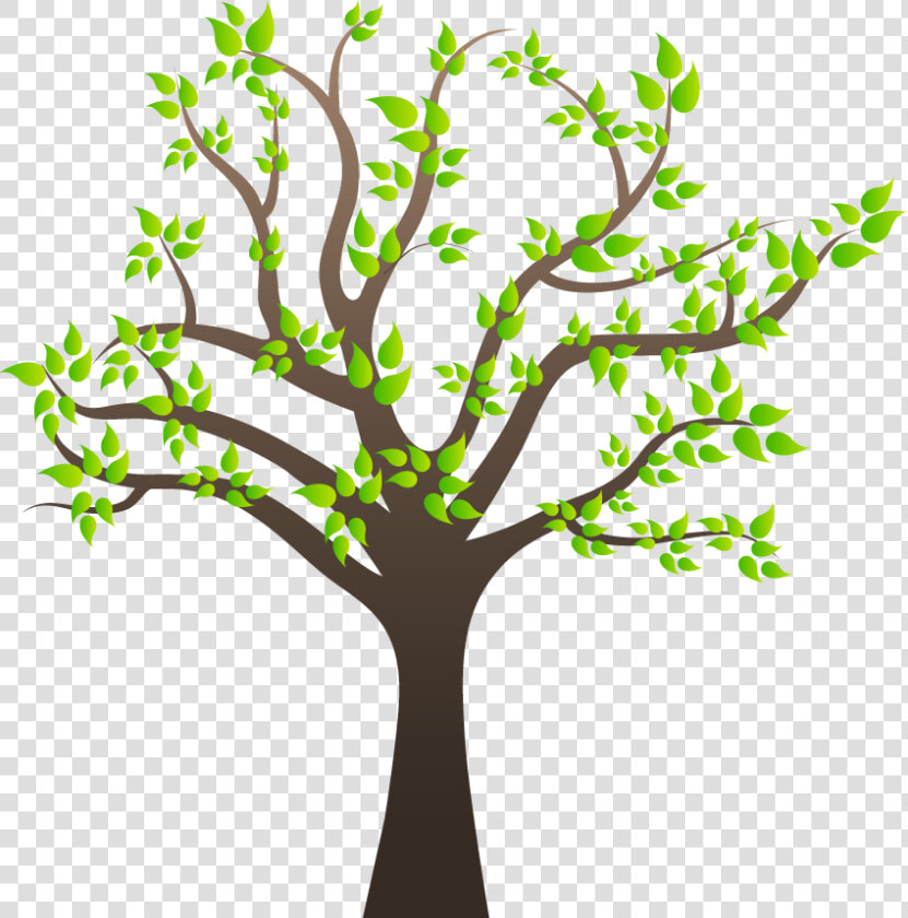 Branch Png Transparent Free Images   Tree With Branches Png  Png DownloadTransparent PNG