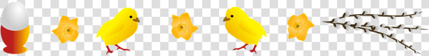 Easter  Holidays  Chick  Egg  Spring  Card  Easter   Swieta Wielkanocne Png  Transparent PngTransparent PNG
