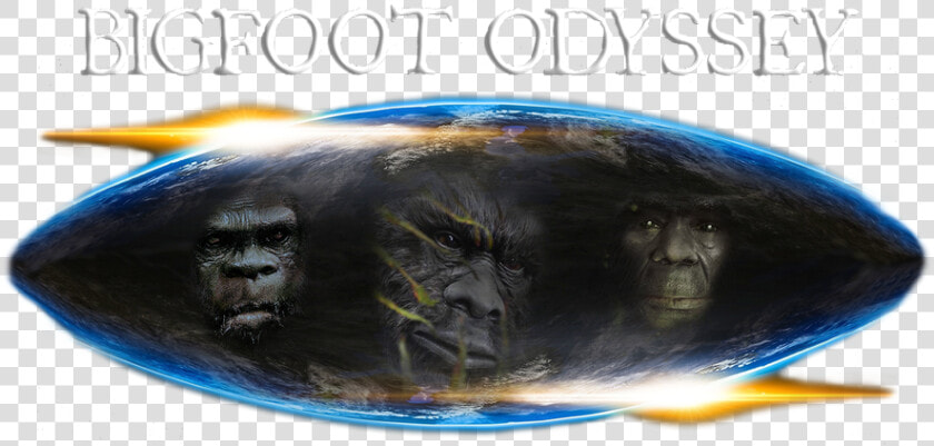 Bigfoot Odyssey   Mountain Gorilla  HD Png DownloadTransparent PNG