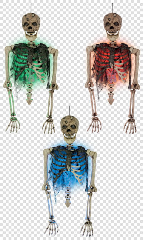Zombie Torso With Blister Chest   Illustration  HD Png DownloadTransparent PNG