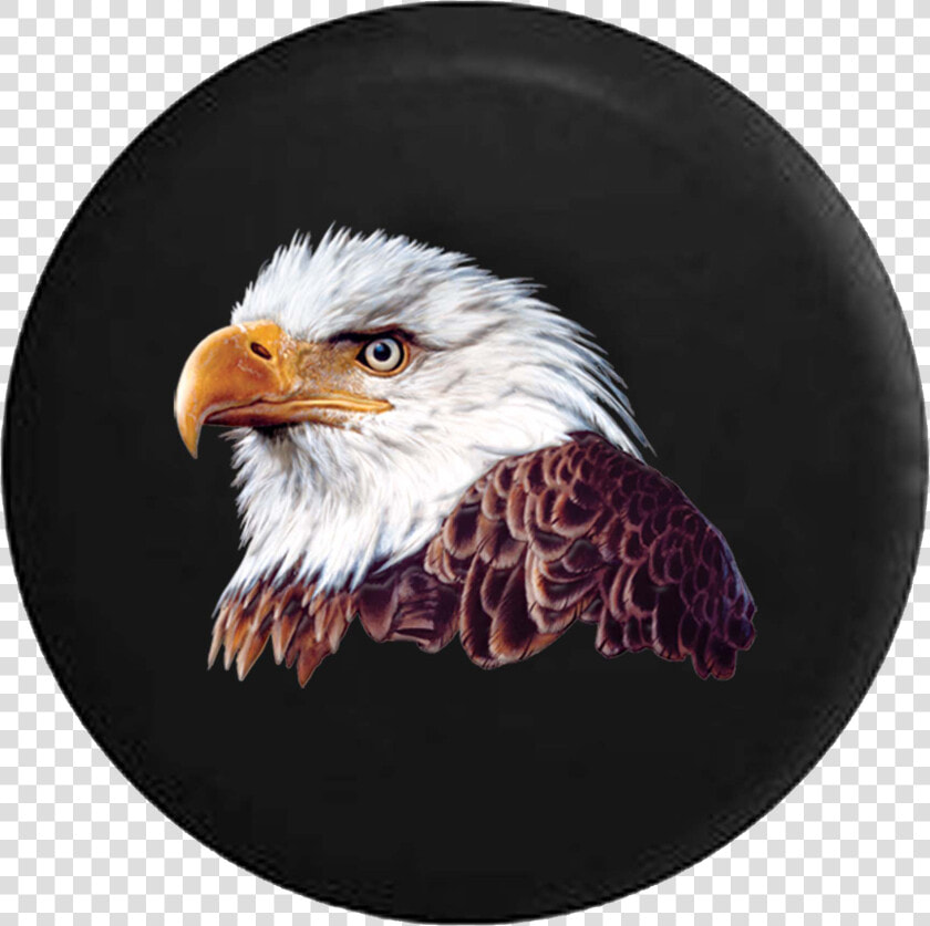Jeep Liberty Spare Tire Cover With Bald Eagle Head   Close Up Bald Eagle  HD Png DownloadTransparent PNG