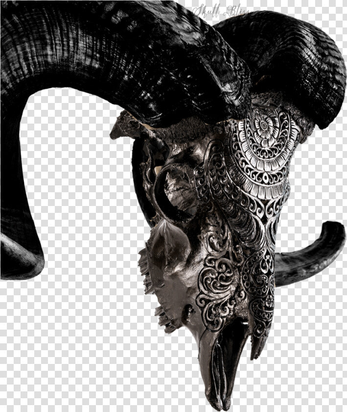 Black Carved Ram Skull  HD Png DownloadTransparent PNG