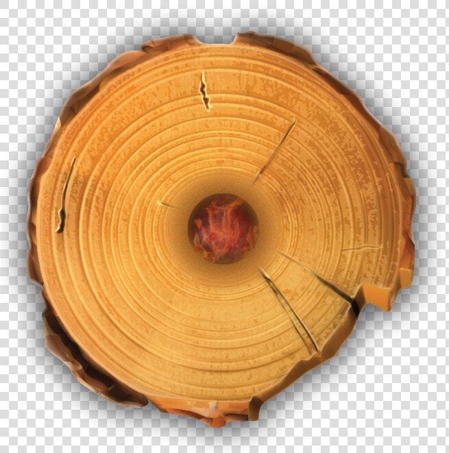 Timber Tote Log Top View   Log Top View Png  Transparent PngTransparent PNG