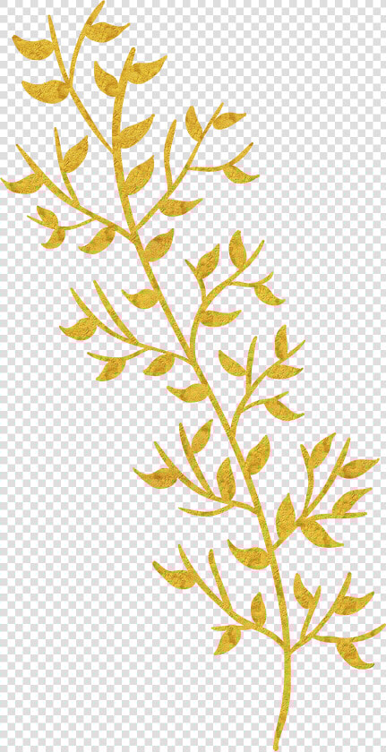 Cigarettes Vector Gold Leaf   Gold Leaf Transparent Background  HD Png DownloadTransparent PNG