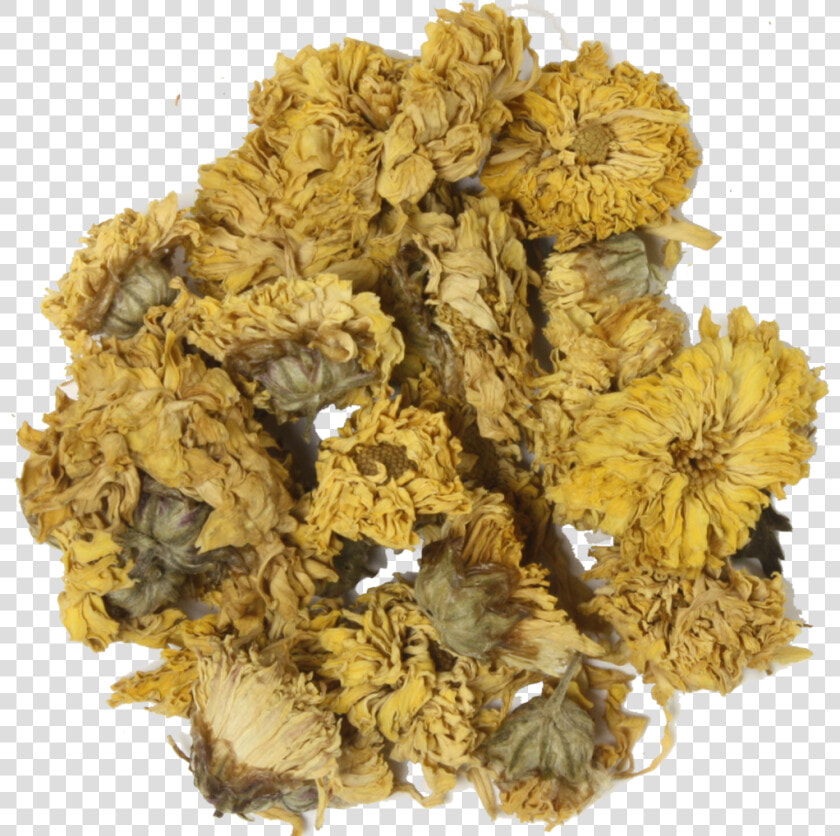 Chrysanthemum Png  Transparent PngTransparent PNG