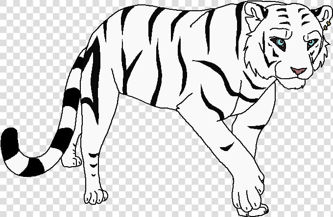 Siberian Tiger  HD Png DownloadTransparent PNG