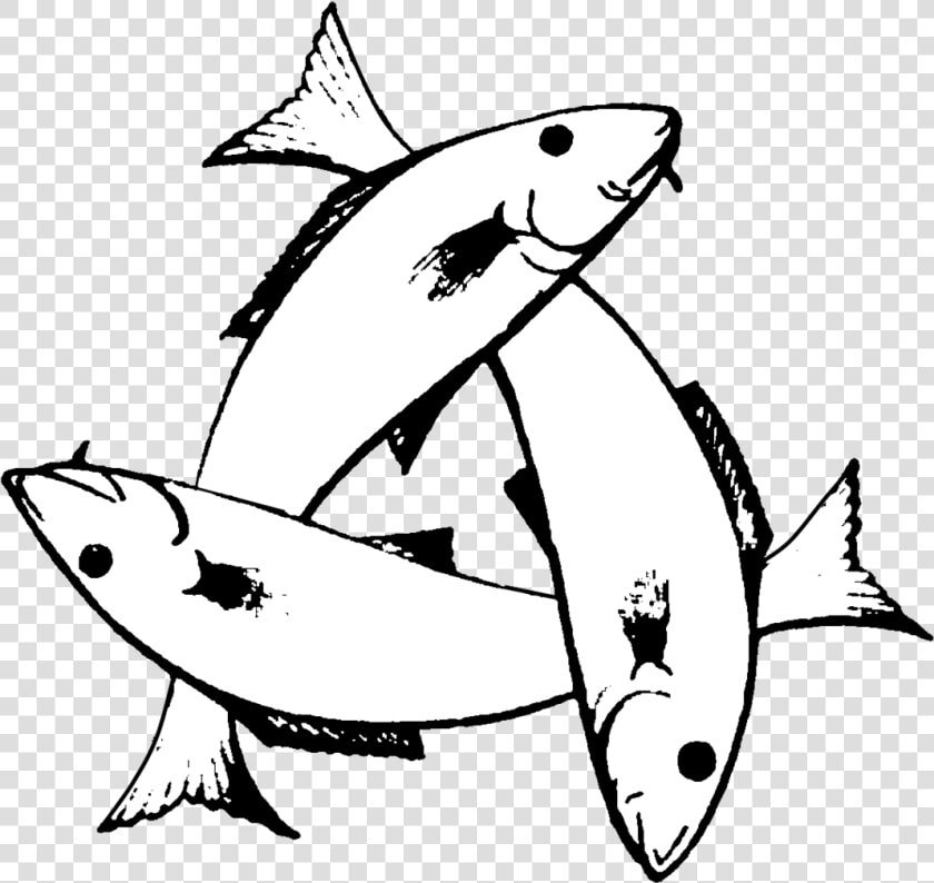 Transparent Christian Fish Clipart   Three Fish Symbol Meaning  HD Png DownloadTransparent PNG