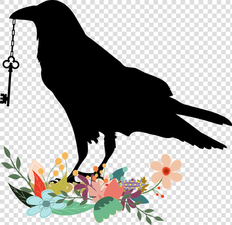  magick  paranormal  spells  spiritual  wicca  wiccan   Raven Key  HD Png DownloadTransparent PNG