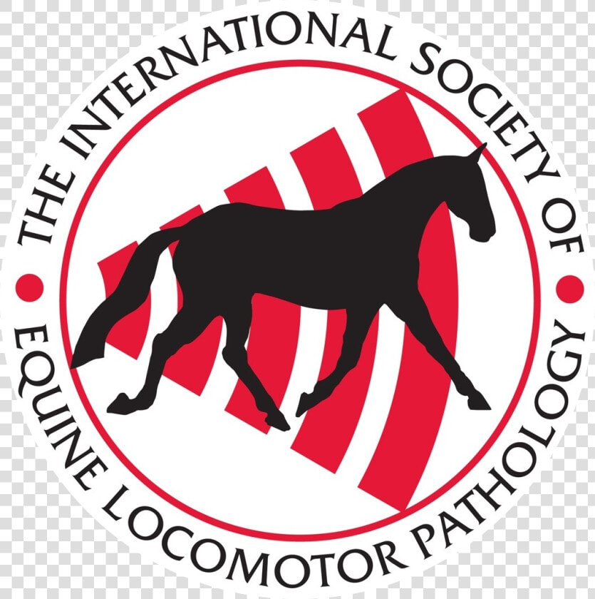 Clinical Experiences With Radial Shock Wave Therapy   Iselp Logo  HD Png DownloadTransparent PNG