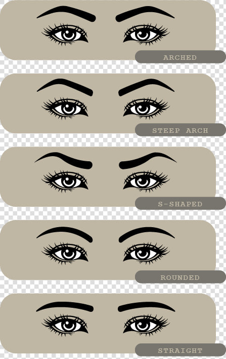 Eyebrow Shape   Illustration  HD Png DownloadTransparent PNG