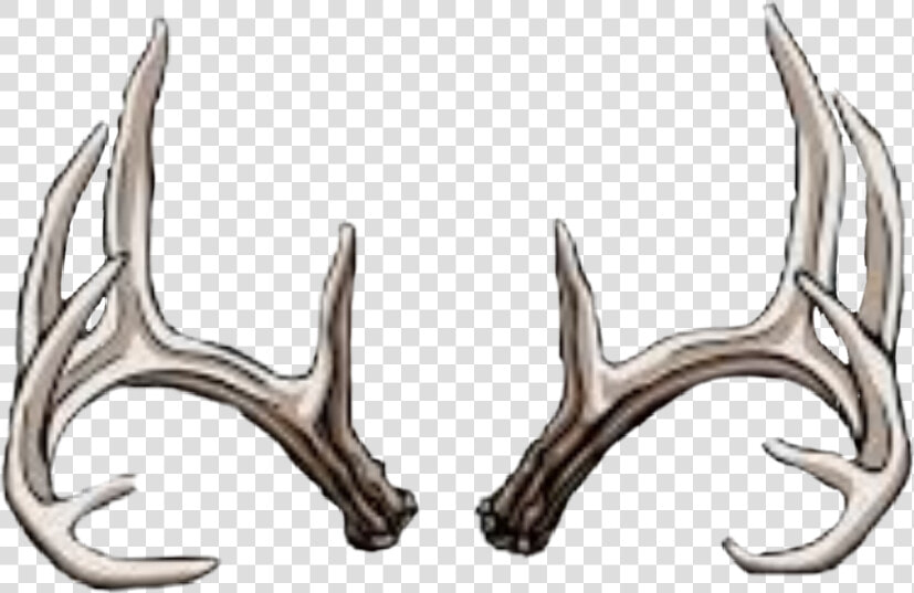 Transparent Deer Rack Png   Deer Skull Line Art  Png DownloadTransparent PNG