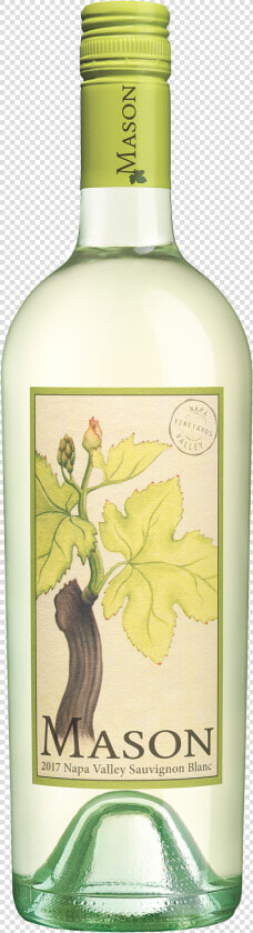 Transparent Ivy Texture Png   Mason Sauvignon Blanc 2016  Png DownloadTransparent PNG