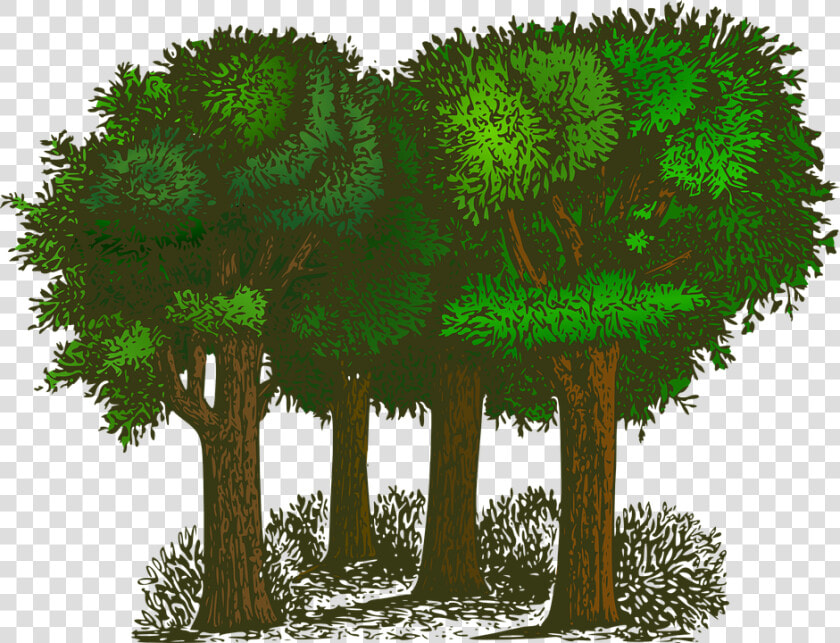 Balance Of Oxygen And Carbon Dioxide  HD Png DownloadTransparent PNG