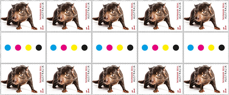 Tasmanian Devil Png  Transparent PngTransparent PNG