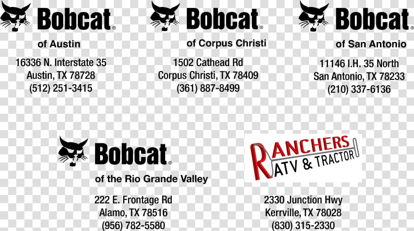 Bobcat  HD Png DownloadTransparent PNG