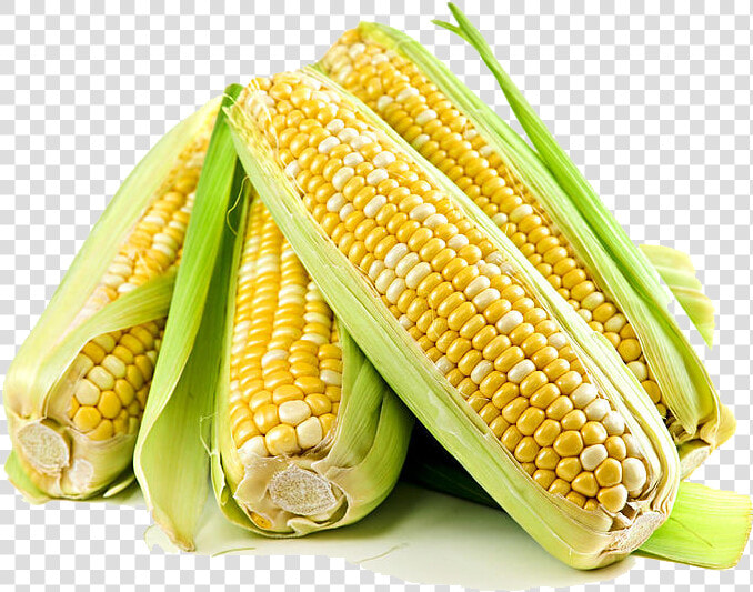 Corn Free Png Image   Epie De Blé D Inde  Transparent PngTransparent PNG