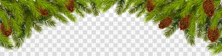 Transparent Pine Cone Clipart   Christmas Pine Decoration Png  Png DownloadTransparent PNG