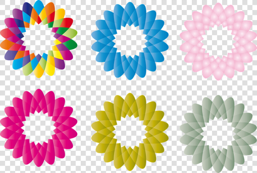 Transparent Flower Pngs   Printable Colorful Color Flowers  Png DownloadTransparent PNG