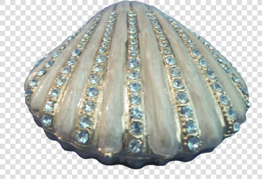 Best Seashell Clipart Png   Transparent Background Transparent Blue Seashells  Png DownloadTransparent PNG