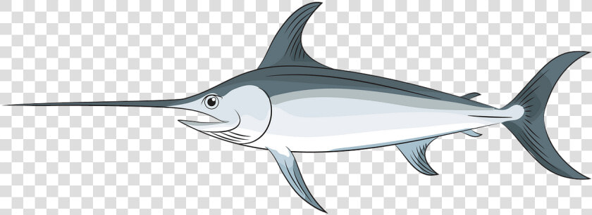 Swordfish  HD Png DownloadTransparent PNG