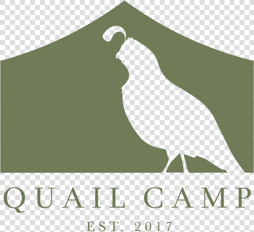 Quail Camp Logo  HD Png DownloadTransparent PNG