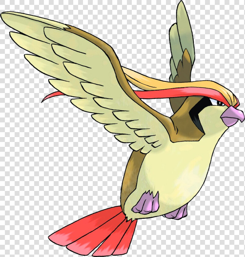 Pokemon Pidgeot  HD Png DownloadTransparent PNG