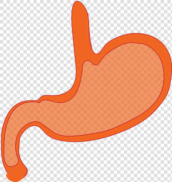Mouth Clipart Esophagus   Stomach Animated  HD Png DownloadTransparent PNG
