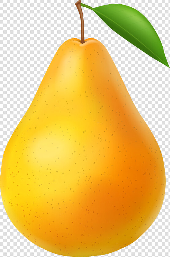 Pear Transparent Png Image   Pear Transparent  Png DownloadTransparent PNG
