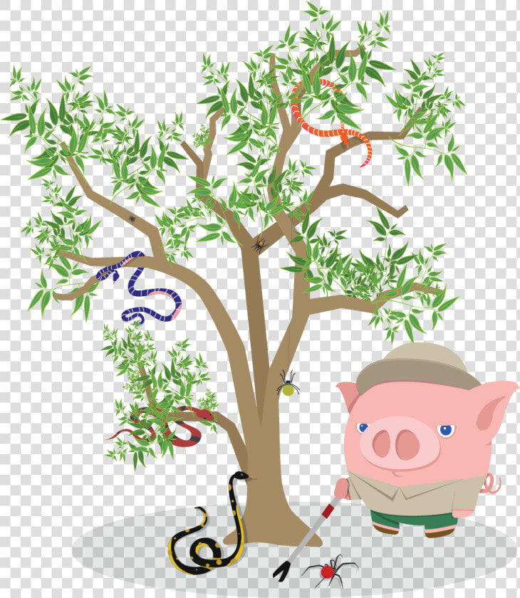 Best Forex Broker Australia   Cartoon  HD Png DownloadTransparent PNG
