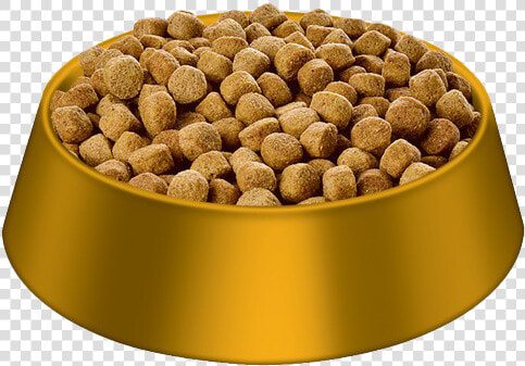 Chicken Dog Food Transparent   Transparent Dog Food Bowl  HD Png DownloadTransparent PNG