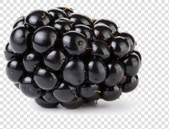 Blackberry Fruit Transparent   Blackberry Fruit  HD Png DownloadTransparent PNG