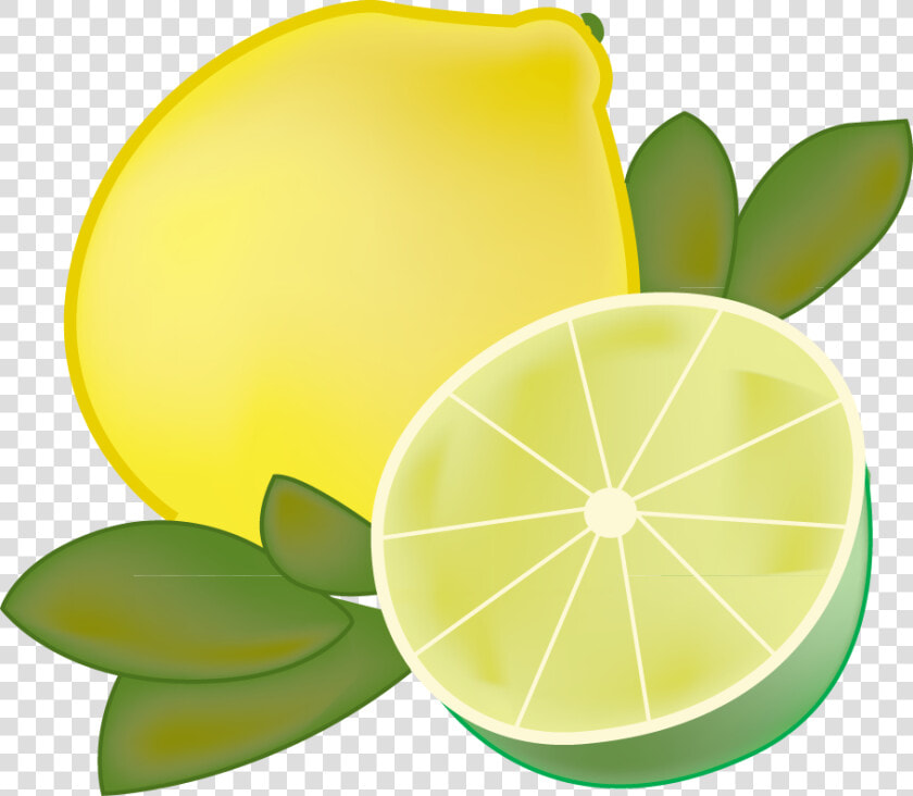 Lemon And Lime Clipart   Clip Art Lemon And Lime  HD Png DownloadTransparent PNG
