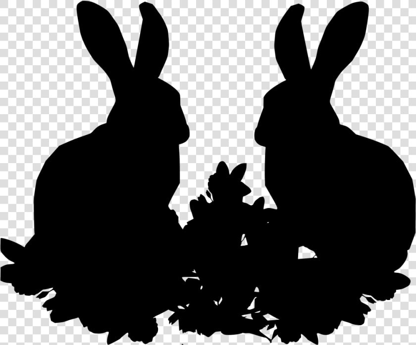 Scalable Vector Graphics  HD Png DownloadTransparent PNG