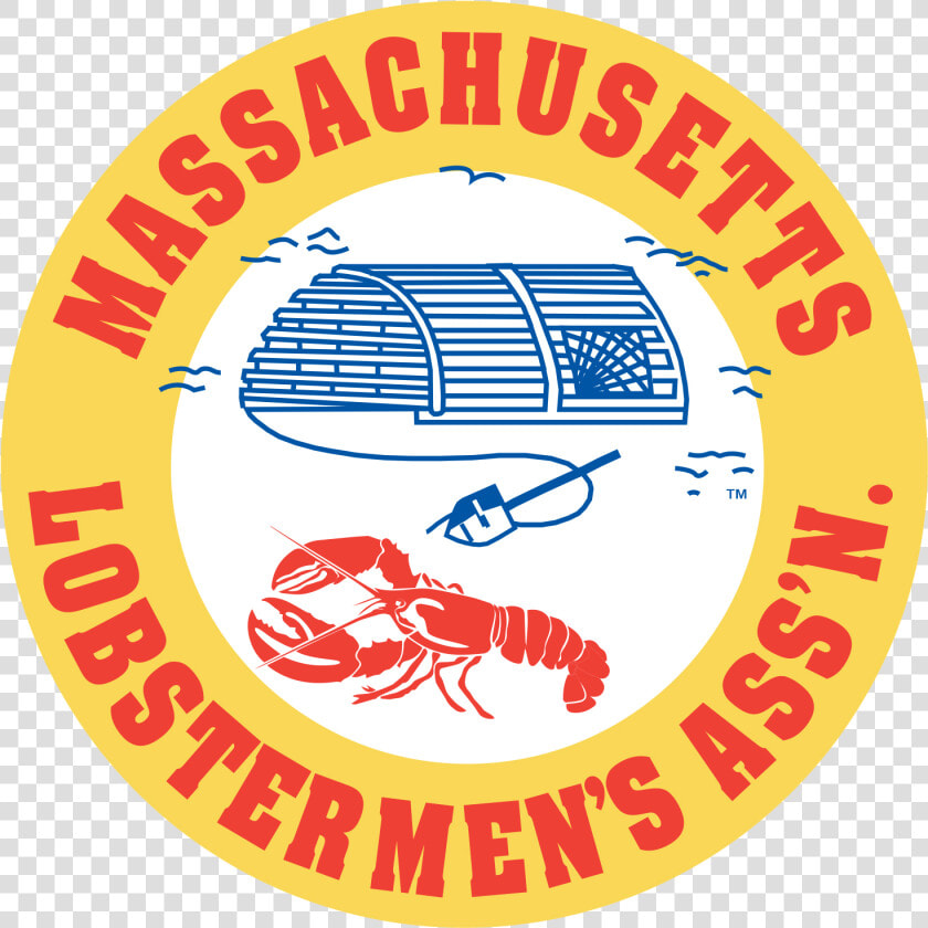 Transparent Rope Bow Png   Massachusetts Lobstermen  39 s Association  Png DownloadTransparent PNG