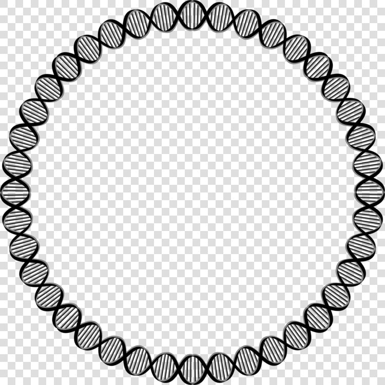 Body Jewelry fashion Accessory jewellery  HD Png DownloadTransparent PNG